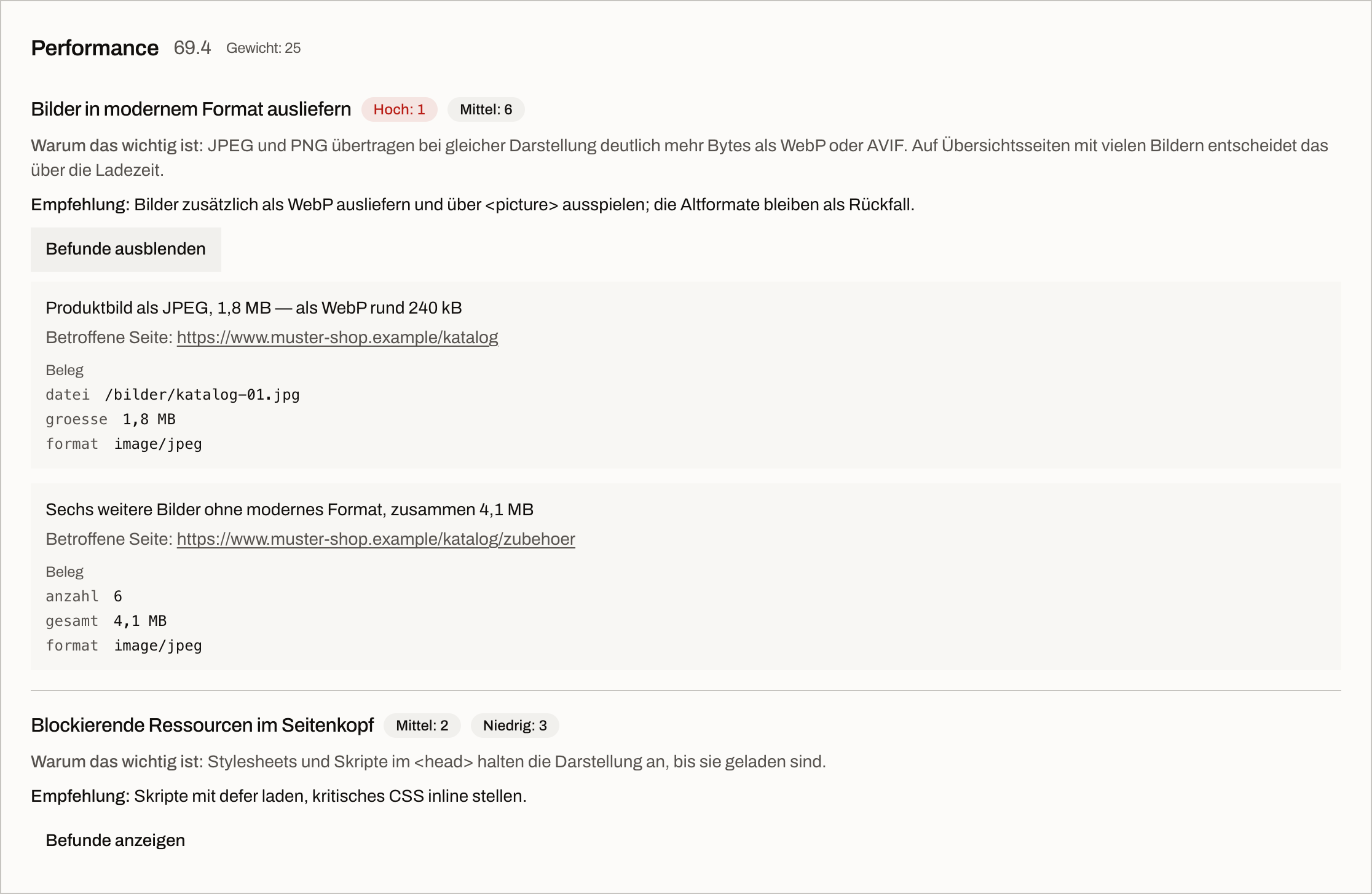 Bereich Performance mit Note 69,4: eine Prüfung mit Begründung und Empfehlung, darunter ein Einzelbefund mit betroffener Seite und dem Beleg aus der Messung.